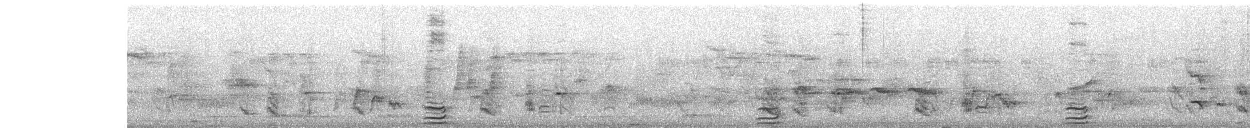 Kalij Pheasant - ML644260368