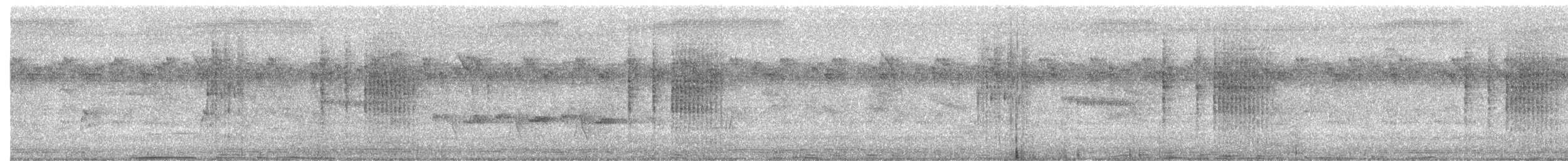 Souimanga à ventre olive - ML644260412