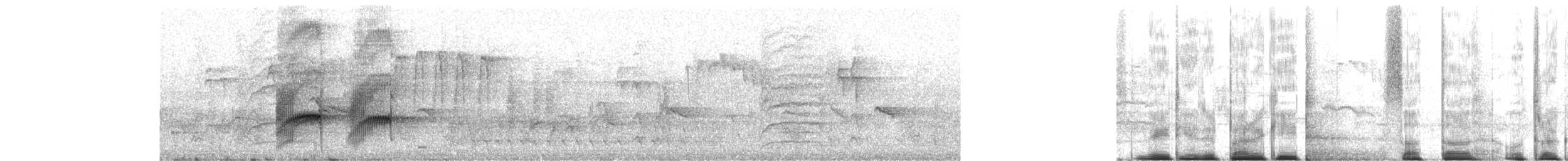 Slaty-headed Parakeet - ML644261023