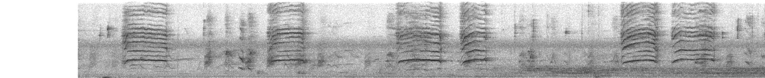 Black Bulbul - ML644262363