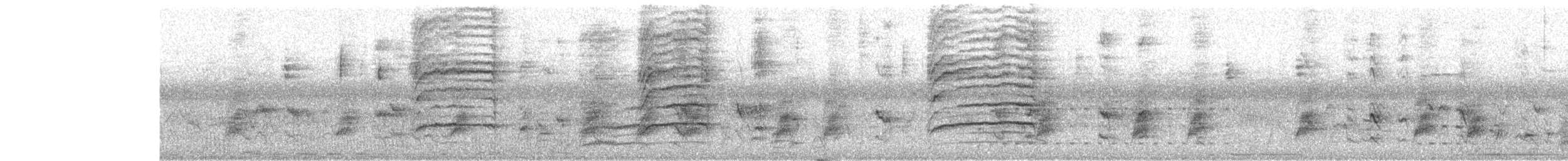 Black Bulbul - ML644262412