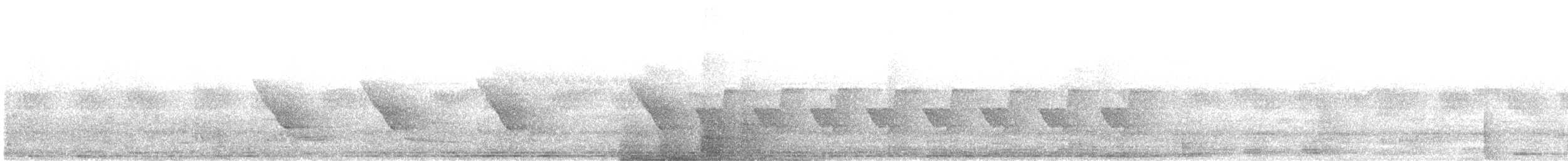 langstjertskredderfugl - ML644262413