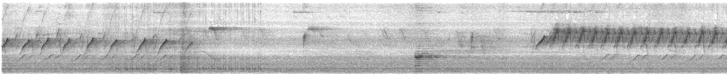 Souimanga asiatique - ML644262486