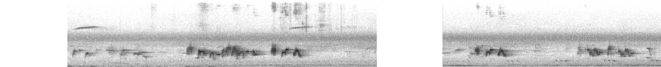 Himalayan Bulbul - ML644262862