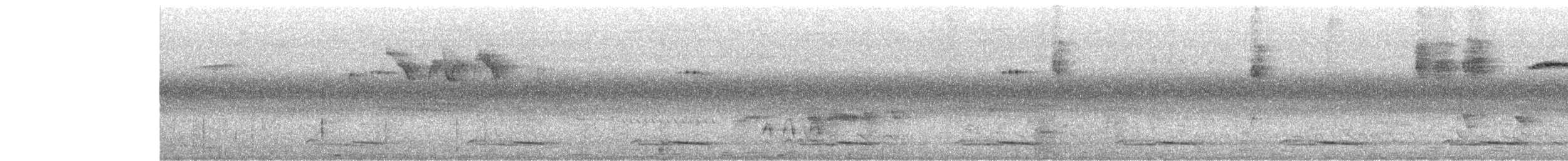 Rufous-bellied Niltava - ML644263160