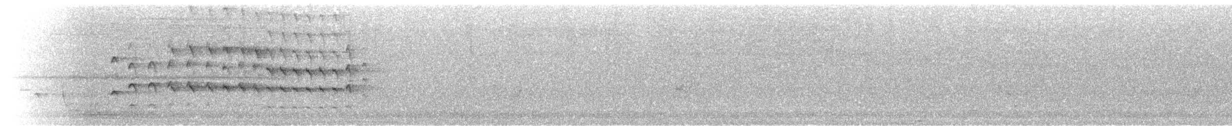 Autour australien - ML644263362