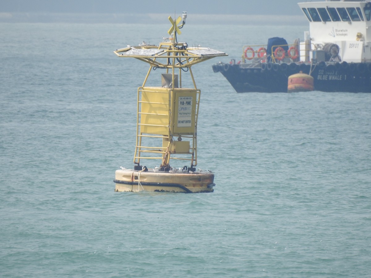 Fraticello - ML644263449