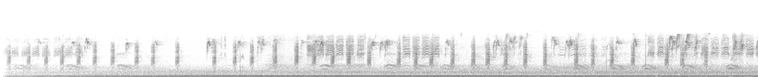 Northern House Wren - ML644263592