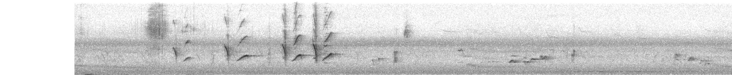 Bronzed Drongo - ML644263800