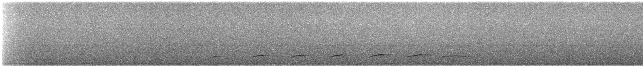 Dull-capped Attila - ML644264042