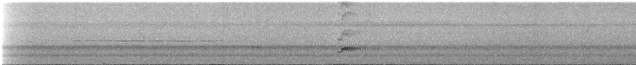 Tyran féroce - ML644264852