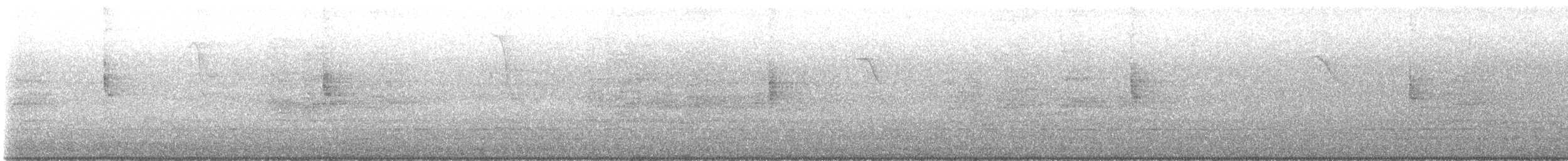 Northern Waterthrush - ML644264946