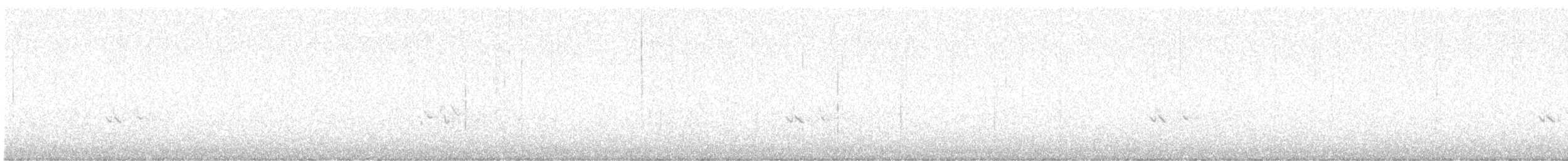 hýl křivčí - ML644265561