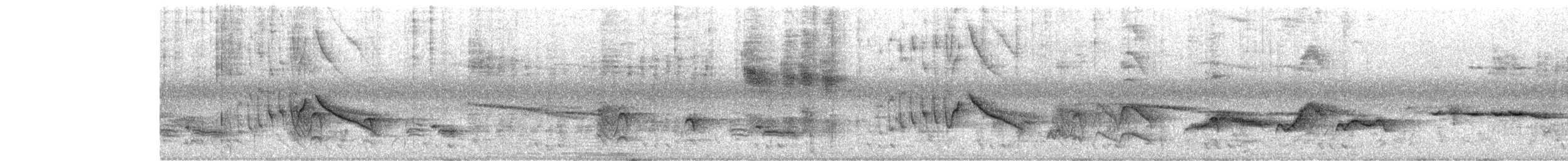 Garrulaxe barré - ML644266094