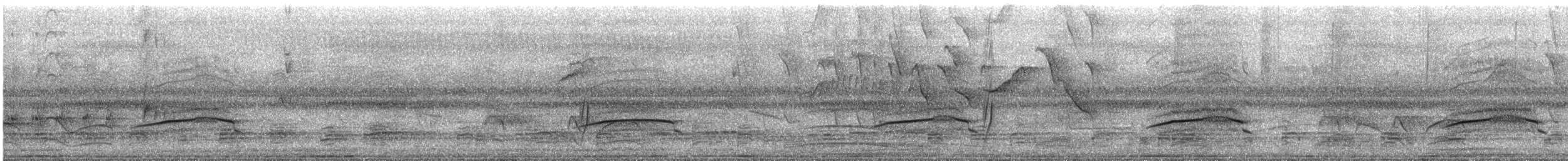 Black-collared Hawk - ML644267451