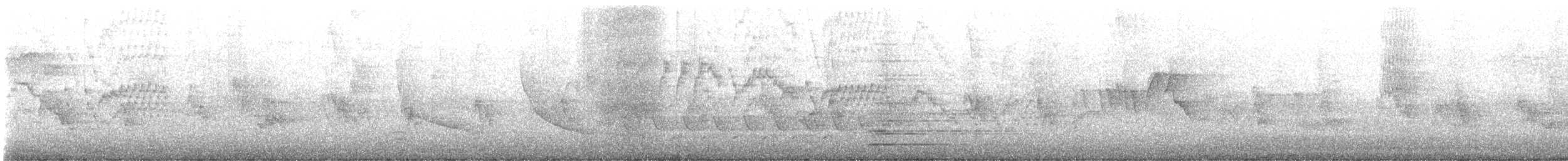 Bicknell's Thrush - ML644267538