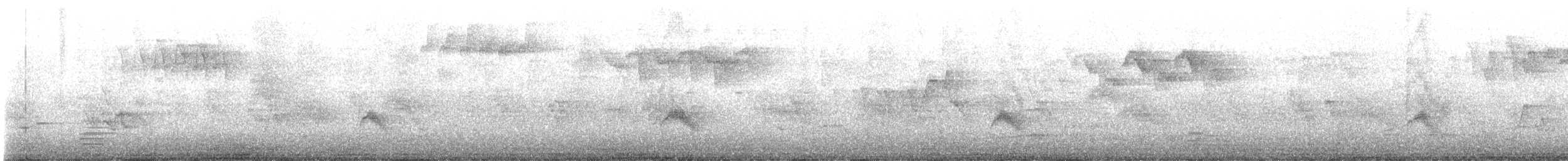 Bicknell's Thrush - ML644267540