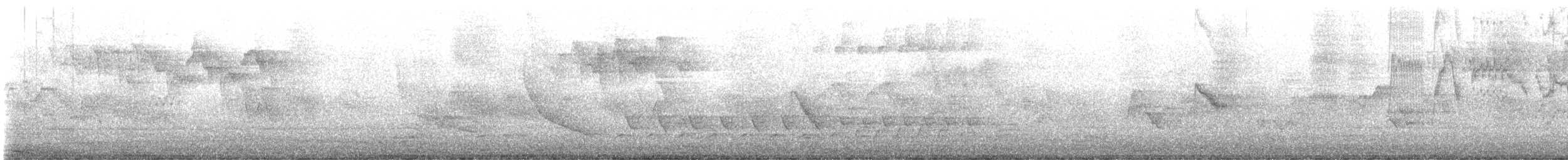 Bicknell's Thrush - ML644267541