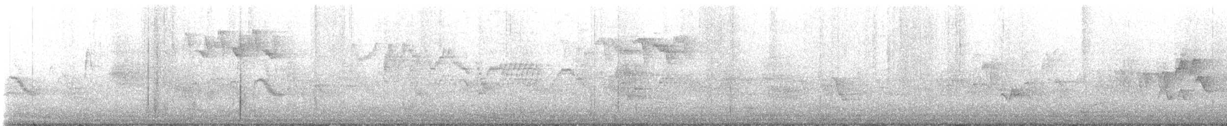 Bicknell's Thrush - ML644267542