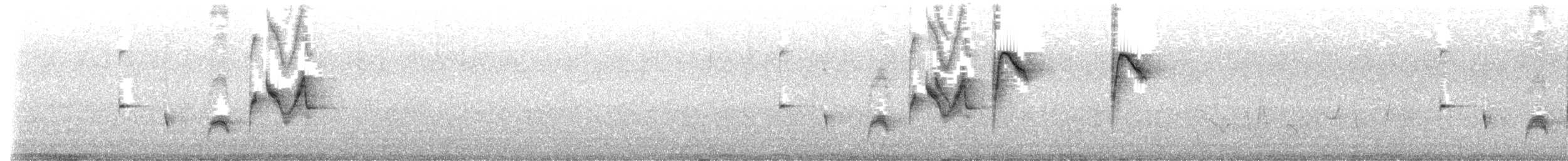 østbørstefugl - ML644267583