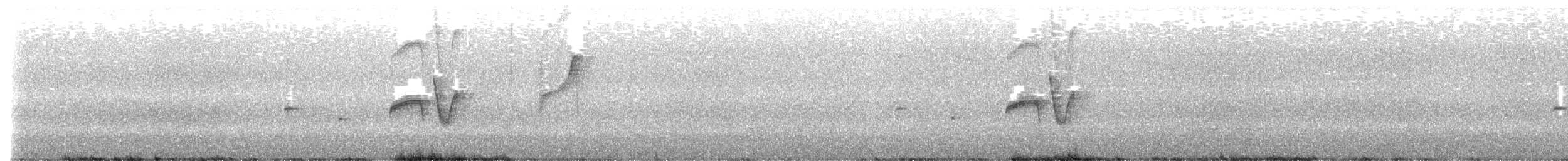 østbørstefugl - ML644267584