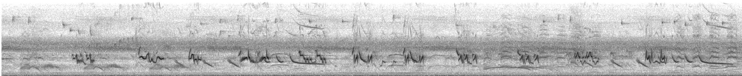 ハシグロムジツグミ - ML644267597