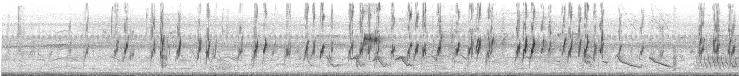 Cobalt-rumped Parrotlet - ML644267833