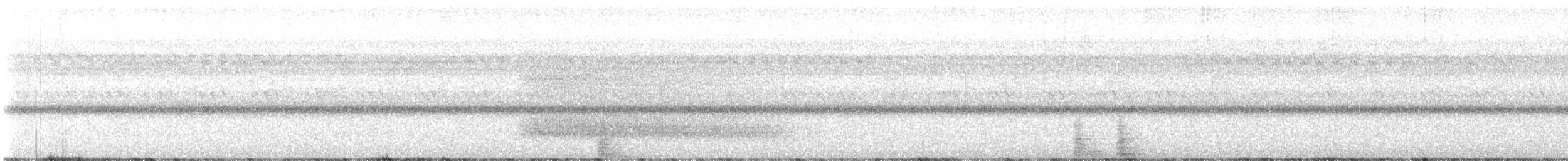 American Barn Owl (American) - ML644267842