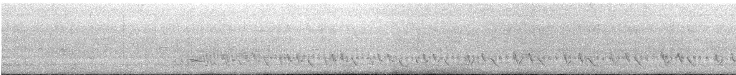 White-rumped Tanager - ML644267964