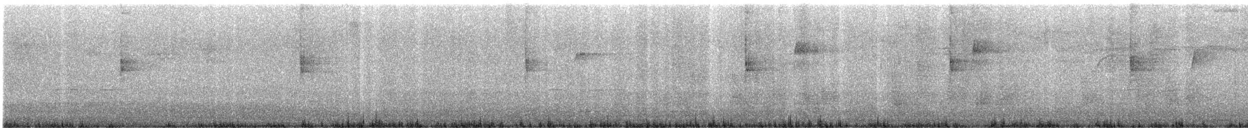 Northern Waterthrush - ML644268141