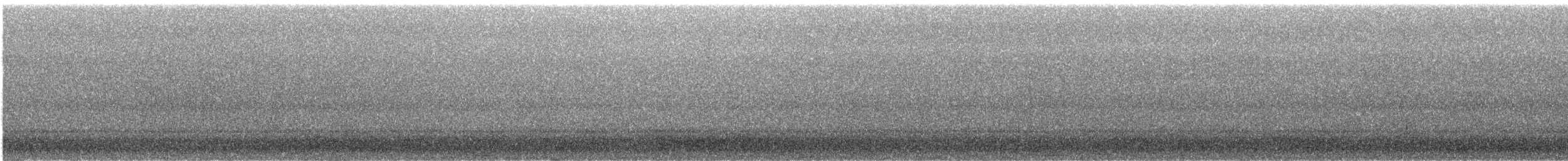 Flammulated Owl - ML644268268