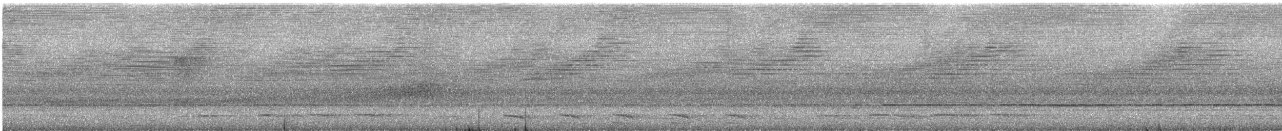 White-shouldered Antshrike - ML644268354