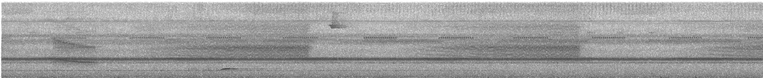 Double-banded Pygmy-Tyrant - ML644268403