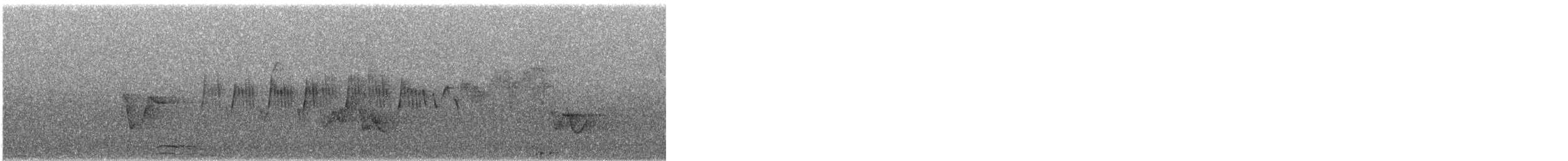 Очковая древесница - ML644268486