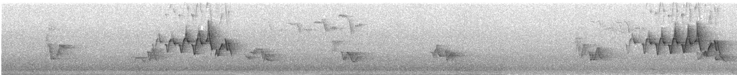 Chestnut-sided Warbler - ML644268711