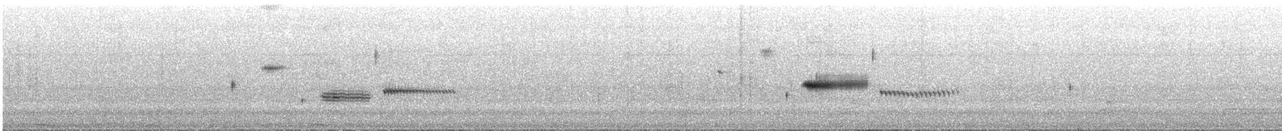 Wachtelammer - ML644269181