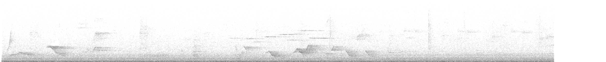 Superb Lyrebird - ML644270053