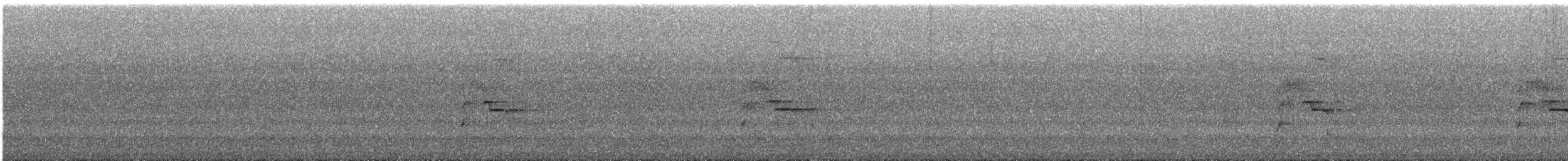 Braunohrarassari - ML644270233