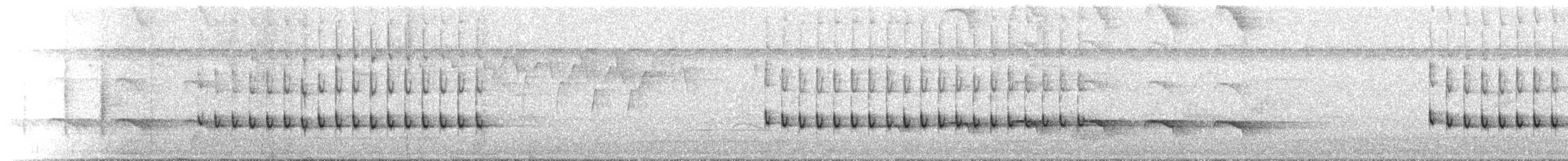 Long-billed Gnatwren - ML644270242