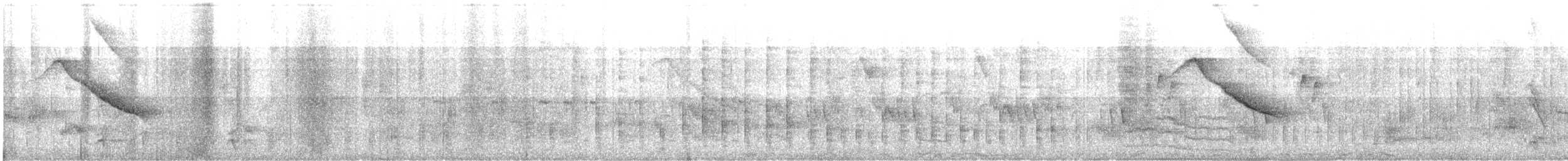 Arabazozo beltza - ML644270730