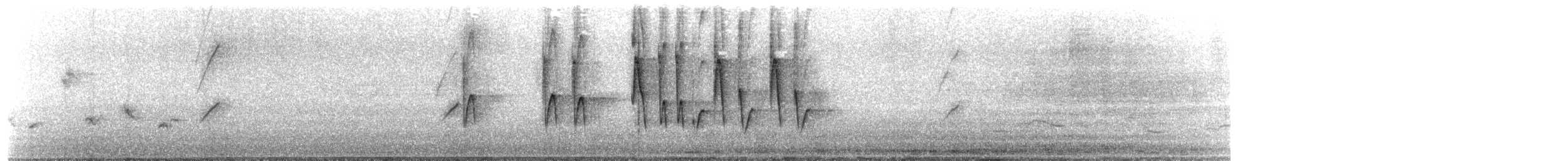 Широкохвістка середземноморська - ML644272083