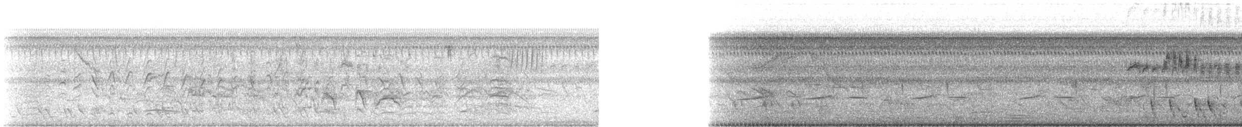 Thrush-like Wren - ML644272245