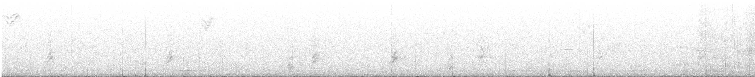 mexicoskrike (wollweberi gr.) - ML644272405