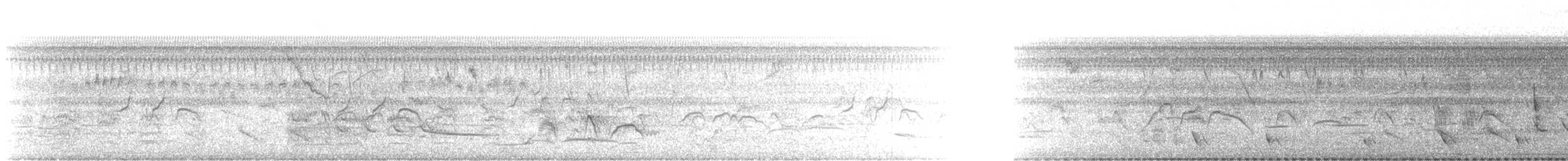 White-faced Whistling-Duck - ML644272876