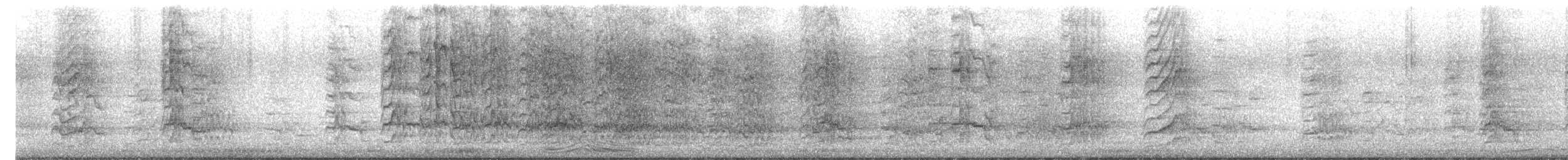 Perruche alexandre - ML644273164