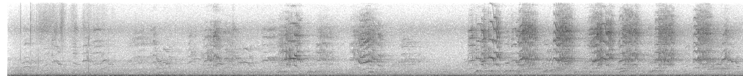 Perruche alexandre - ML644273165