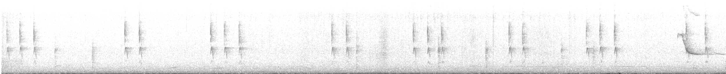 Winter Wren - ML644273354