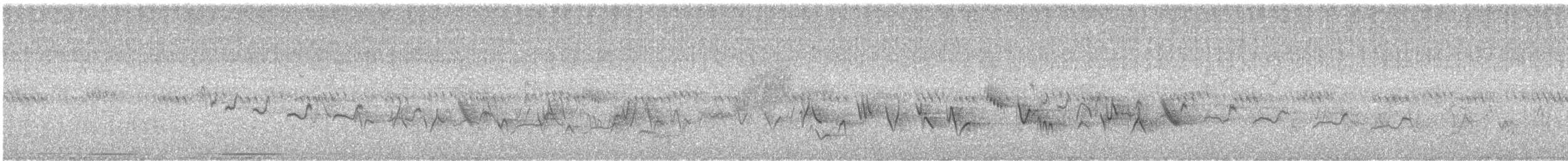 Canyon Wren - ML644273571