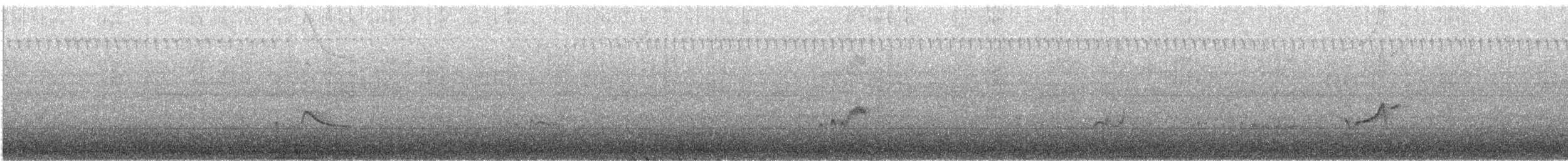 Zimtbauch-Phoebetyrann - ML644273601