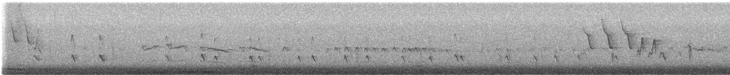Totano zampegialle minore - ML644273630